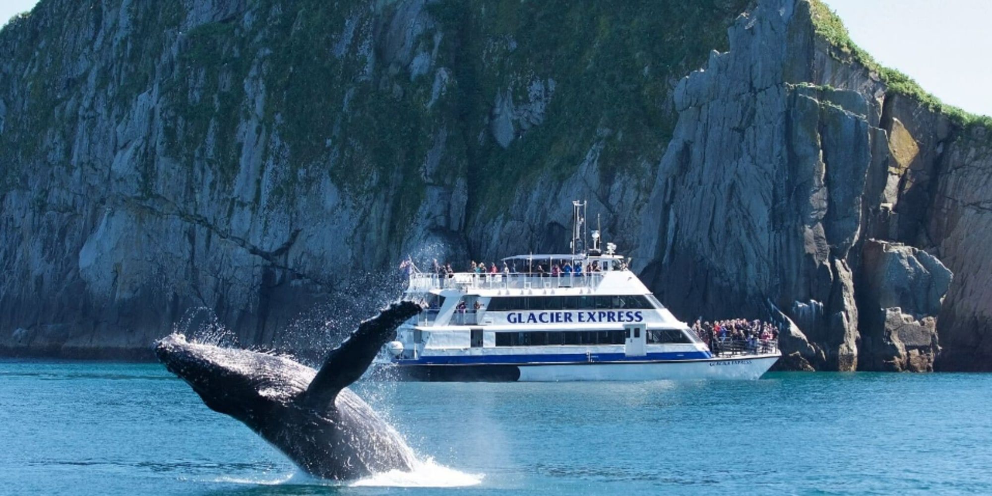 A whale breaches in the waters of Kenai Fjords National Park